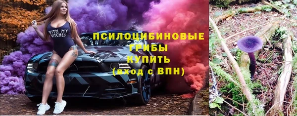 прущие грибы Заволжье