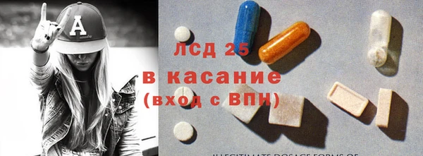 прущие грибы Заволжье