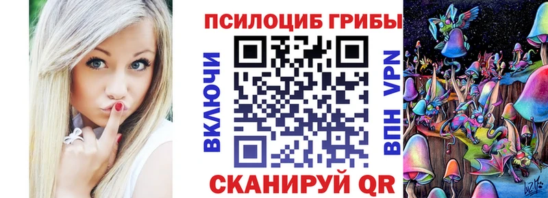 Купить закладки  Жиздра  Галлюциногенные грибы ЛСД 